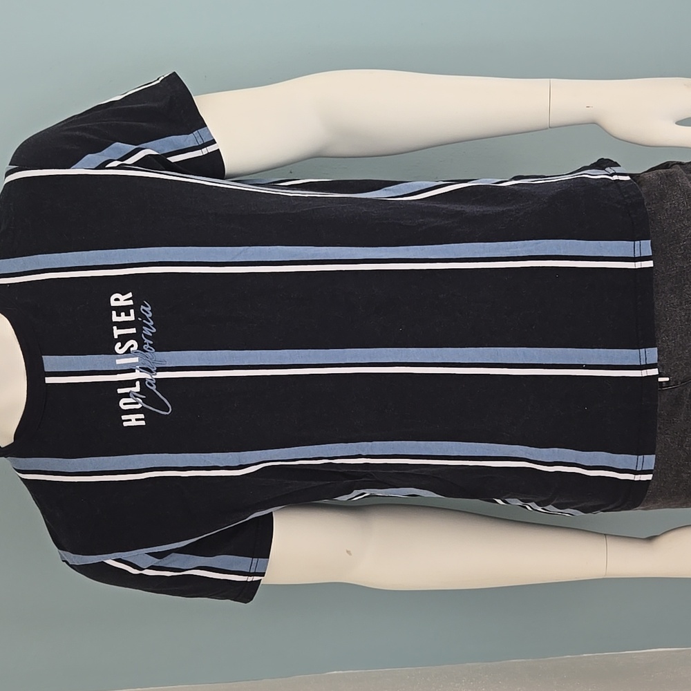 Hollister Blue Striped Short Sleeve Tee